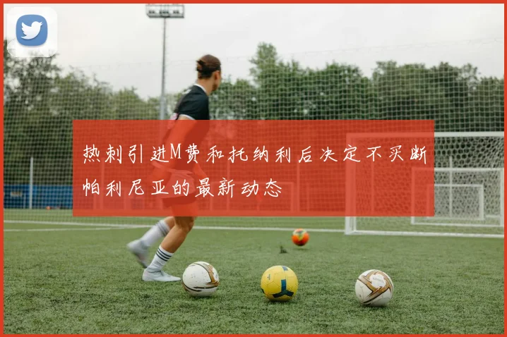 热刺引进M费和托纳利后决定不买断帕利尼亚的最新动态